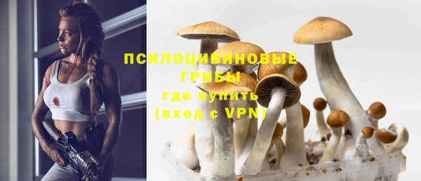 гидропоника Сосновый Бор