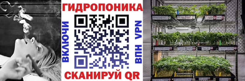 где продают наркотики  Волчанск  Каннабис сатива 